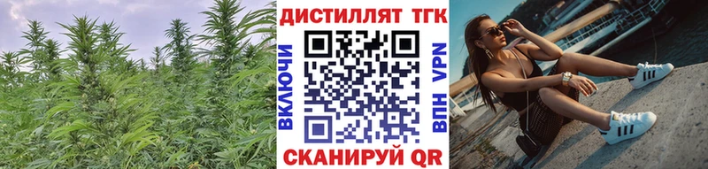 ТГК концентрат  Купить закладки  Питкяранта 
