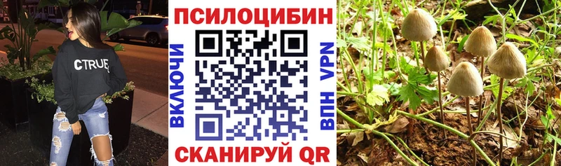 Купить где  Питкяранта  Псилоцибиновые грибы Psilocybine cubensis 